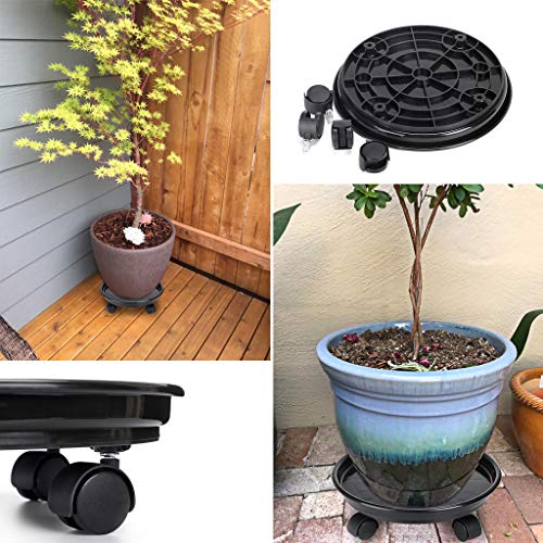 6 Skelang+Diameter+Caddies+Furniture+Capacity