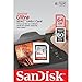 SanDisk 64GB SDXC SD Ultra Memory Card Works with Canon Powershot ELPH 360 HS, SX70 HS, SX620 HS Camera UHS-I (SDSDUN4-064G-GN6IN) Bundle with (1) Everything But Stromboli Combo Card Reader