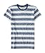 Aeropostale Men's Prince & Fox Bar Stripe Tee Shirt M Midnight Blue