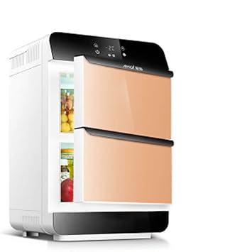 fxpczbx - Nevera para Coche, portátil, silenciosa, termoeléctrica ...