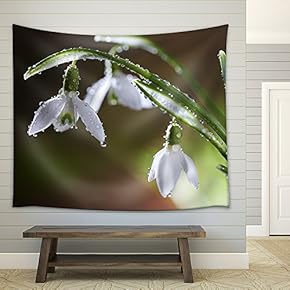Spring Snowdrop Flowers with Dewdrops - Fabric Wall Tapestry Home Decor - 51x60 inches