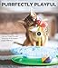 Catstages Cheese Chase Interactive Cat Track Toy with Balls and Catnip Toy, Multicolored