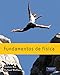 FUNDAMENTOS DE FISICA(9788478291250)