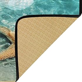 Doormat Area Rug Starfish Seashell On Beach for Bedroom Front Door Kitchen Indoors Home Decors 51juMjkKg4L
