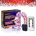 innotree Color Changing Fairy Lights USB Plug in with Remote Dimmable, 33ft 100 LEDs Multi-Colored Firefly Twinkle String Lights for Bedroom Indoor Outdoor Party Wedding Decoration, Copper Wire