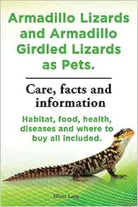 armadillo girdled lizard care