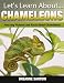 Chameleons: Amazing Pictures and Facts About Chameleons (Let's Learn About)