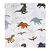 Bamboo Muslin Swaddle Blankets for Boys - 2 Pack Dinosaur & Tropical Bamboo Baby Boy Blanket Toddler Blanket - Large Summer Baby Muslin Blanket Swaddle Wrap(Dinosaur & Tropical)