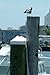Taylor Made Products 6204 Dock Piling Cap (11