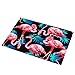 Eanpet Front Door Mat Outdoor Flamingo Rug 2x3 Modern Area Rug Rubber Pretty Mat Non Slip Indoor Outdoor Doormat Waterproof Shoes Scraper Entryway Rug Home Decor Exterior Welcome Mat Black1
