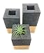 Square Concrete Succulent Planters/Air Plant Holder/Vase. (set of 3) CARBON & GOLD. Cement Succulent pots. Modern Planter set.