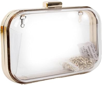 acrylic clear purse