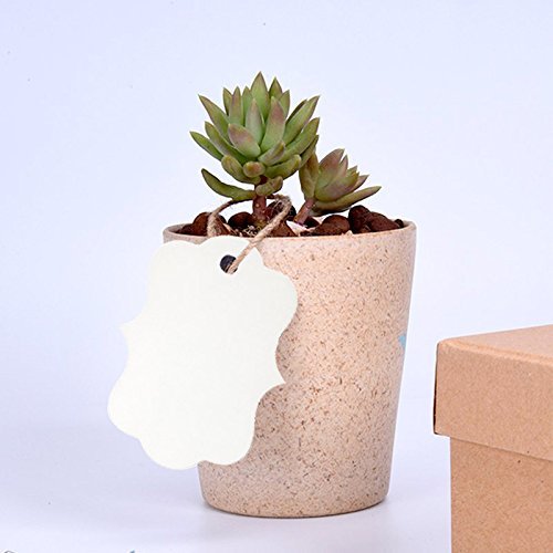 image for G2PLUS 100 PCS White Paper Gift Tags, 2.75''x 1.97'' Kraft Blank Hang 