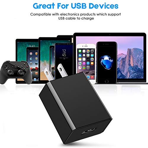 EVISTR Wall Charger 2 Pack USB Wall Adapter Max Output 5V 2A for Power Bank, Cell Phone, Camera, Voice Recorder, MP3 Player, Tablet and More USB Charging Device