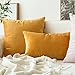 MIULEE Pack of 2 Velvet Soft Solid Decorative Square Throw Pillow Covers Set Cushion Case for Fall Sofa Bedroom Car 16x16 Inch 40x40 Cm Gold