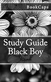 Black Boy: A BookCaps Study Guide