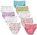 Hanes Big Girls' Brief (Pack of 9)