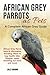 African Grey Parrots as Pets: African Grey Parrot facts & information including where to buy, health by 