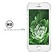 iPhone SE Screen Protector, PLESON [2-Pack] iPhone SE Tempered Glass Screen Protector [9H Hardness 0.26 mm 2.5D] Glass screen protector for iPhone SE 5 5s Anti Scratch/Bubble Free