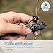 Anker SoundBuds Lite Bluetooth Headphones, Wireless Lightweight Neckband Headset, IPX5 Water Resistant Sport Earbuds with CVC 6.0 Noise Cancelling and Built-in Mic (Black)