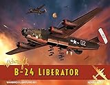 Witchcraft: B-24 Liberator by 