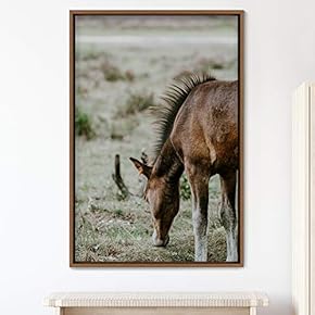 signwin Framed Canvas Wall Art Horse Animals Dramatic...
