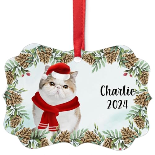 White Calico Exotic Shorthair Cat Christmas