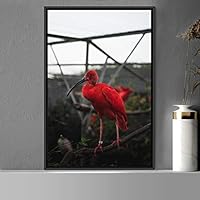 Framed Canvas Wall Art Single Bird Birds Expressive Farmhouse/Country Multicolor Photography Portrait Single - 16x24 inches