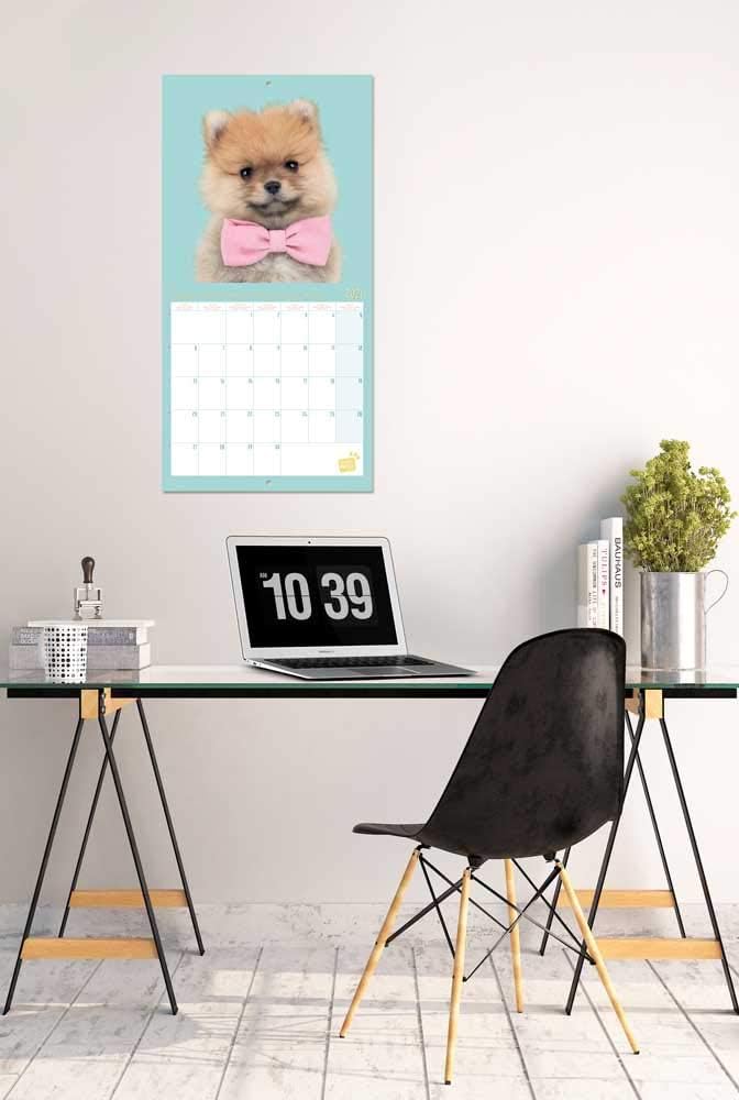Official Studio Pets Puppies 2021 Wall Calendar 11.8 x 11.8 inches (16 Months) Family Planner Calendar 2021, CP21007 - Image 5