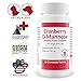 Cranberry D-Mannose Urinary Tract Supplement for Dogs & Cats – Bladder & UTI Health Support – Cranberry Extract, D-Mannose & Vitamin C–Promotes Urinary Wellness & Kidney Function – 60 Chewable Tablets