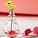 Stand Light Bulb Shape Glass Vase Flower Plant Container Pot Home Garden Decoration