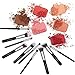 EmaxDesign Makeup Brushes Premium Makeup Brush Set, 10 Pieces Professional Foundation Blending Blush Eye Face Liquid Powder Cream Cosmetics Brushes (Silver Black)
