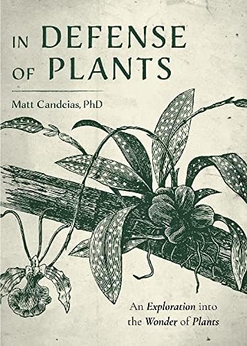 Authors of Plant Names: Brummitt, R. K., Powell, C E
