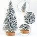 Topbuti 48 Pcs Mini Christmas Trees Bottle Brush Trees Sisal Snow Frost Trees Diorama Tree with Wood Base for Christmas Decoration Home DIY Décor Crafts Assorted Color