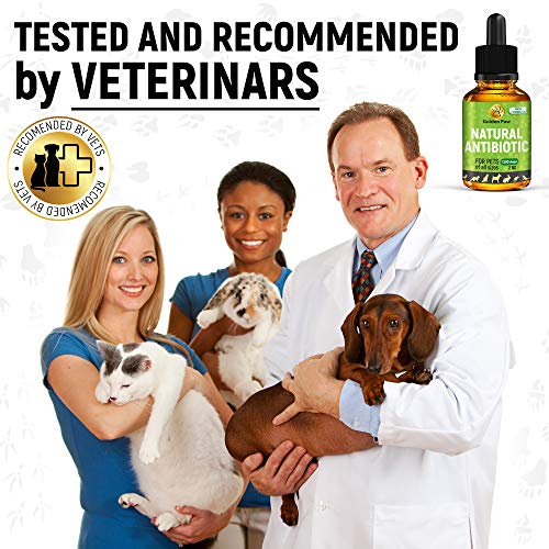 GoldenPaw Natural Antibiotíс for Dogs New Garlic Free Formula