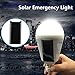 OALUX 12W Solar LED Bulb Portable Emergency Light Rechargeable Lamp for Outdoor & Indoor Lantern Still Works After Outages Waterproof IP65/1 Pack