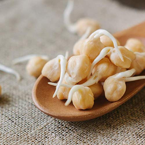 3 Garbanzo+Chickpeas+Verified+Non+Irradiated+Certified