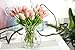 smylls 10 pcs Holland Tulips Flowers Latex-Look Like Real,Eco-Friendly Odourless Artificial Flowers Christmas Party Decoration Gift Package (10, Light Pink)