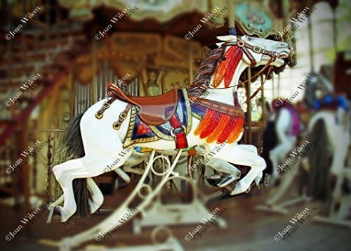 Choose Style! Carousel Horses With Feathers Paris France Europe Montmartre Sacre Coeur Streets of Paris Original Fine Art Photography Wall Art Photo Print