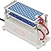 ATWFS New Portable Ceramic Ozone Generator 110V 10g With Plug