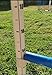 Triple A Dogs Combo 1 Dog Agility Jump/6 Dog Agility Weave Poles Buy Combo and Save, Dog Training, Dog Jumps, Dog Hurdles, Agility Equipment,