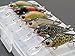 wLure Minnow Crankbait for Bass Fishing Bass Lure Jerkbait Fishing Lure (HM515KB, with Tackle Box)