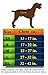 Chai's Choice Best Outdoor Adventure Dog Harness (X-Large, Orange)