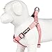 Blueberry Pet 19 Colors Step-in Classic Dog Harness, Chest Girth 16.5