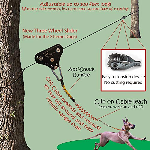 dog leash pulley system