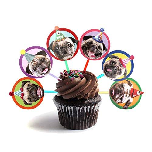 cupcakes pug