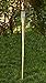 Bamboo Torches - 12 Pack - Metal Oil Canister - Reinforced with Metal Ring - 4 ft High, 6oz. Capacity - Sharp Speared Bottom by Kaya Collection