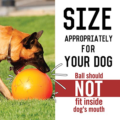 Virtually Indestructible Best Ball for Dogs, 10inch Pricepulse