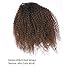 Afro Kinky Curly Human Hair Ponytail Extensions Remy Afro Kinky Curly Drawstring Ponytail 4B 4C Afro Ponytail For Natural Hair Curly Clip In Ponytail Extensions For Black Women One Piece 1B/4 12Inch