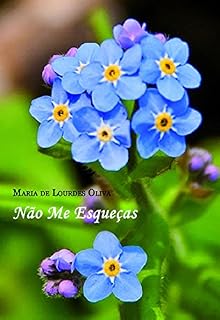 Livro Não me esqueças
